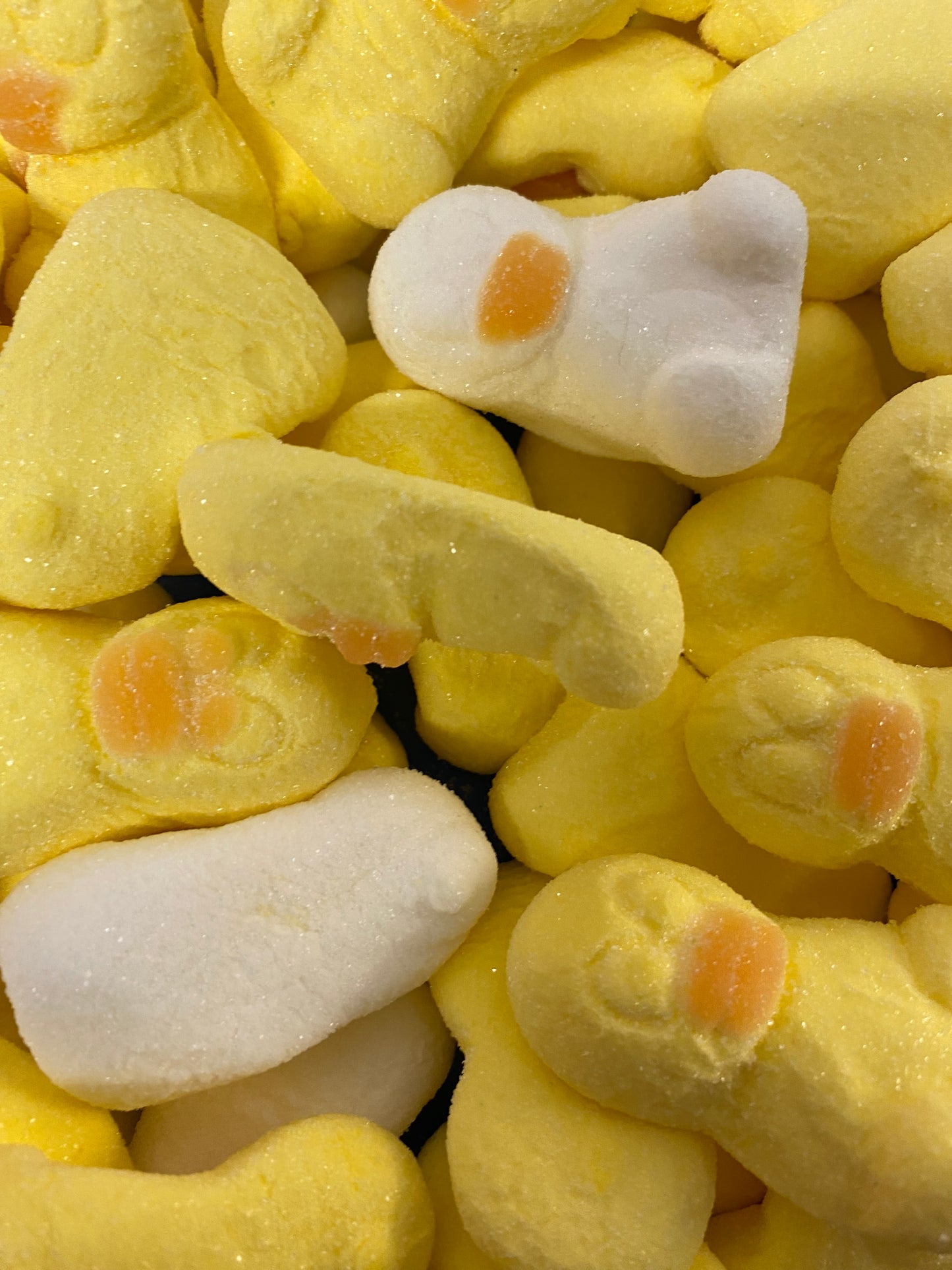 Marshmallow Ducks